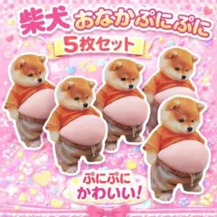 新品未開封品 柴犬　お腹　おなか　ぷにぷに シール スクイーズ　5個セット