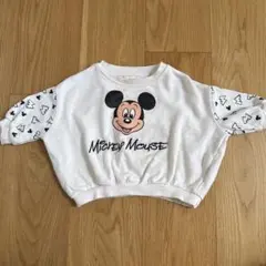 ミッキー トレーナー リトシー