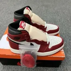 【人気美品】NIKE AJ1 ロスト & ファウンド 26.5cm
