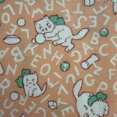 Item thumbnail for item 8c9d6028-0108-4a1e-8198-89853e7e94ff