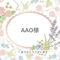AAO様　おまとめ３点