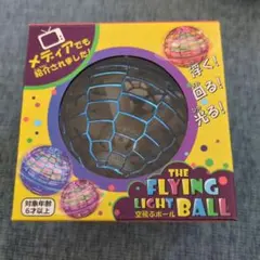 Item thumbnail for item 827135b3-65c4-49f9-92d2-68ae3b054568