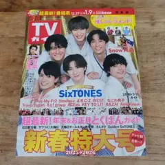 TVガイド 新春特大号 2026年1月号