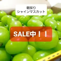 【値下げ中】朝採り　シャインマスカット　約1キロ 【箱別】770のサムネイル