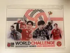 サントリーサンバーズ ペルージャ アクリルスタンド