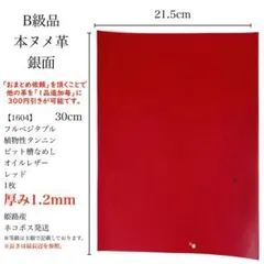 Item thumbnail for item 415e3977-c609-4457-8b47-1248ca41e170