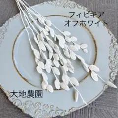 済　ウメP様　ご専用