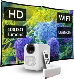 赤*馬様 BenQ X3000i 4K LED ゲーミングPJ｜使用315h｜天 - メルカリ