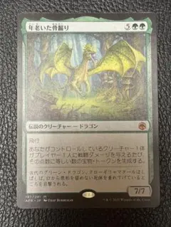 2026年最新】magic the gathering Old Gnawboneの人気アイテム - メルカリ
