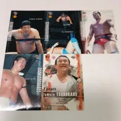 Item thumbnail for item 72d4146e-5aa0-4868-afd0-66ed2ab3a462