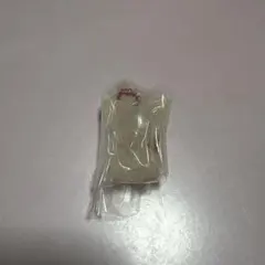 skzoo グミチャーム FoxINy