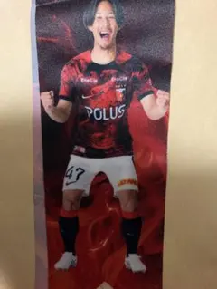 浦和レッズ　ベガルタ仙台　武田英寿　BIGボンフィン