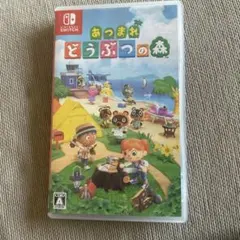 m*n様 あつまれ どうぶつの森 Nintendo Switch
