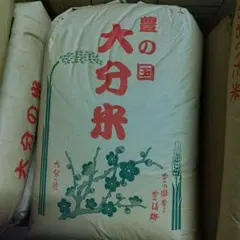 残り僅か在庫処分！2025年栽培期間中無農薬栽培飲める湧水を利用した玄米30kgのサムネイル