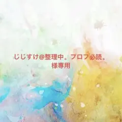 じじすけ@整理中。プロフ必読。様確認専用ページ【取り置き中　5月5日まで】