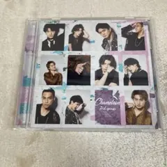 【D33396】Chameleon