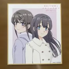 映画 青春ブタ野郎はゆめみる少女の夢を見ない 青ブタ 来場者特典 麻衣 翔子のサムネイル
