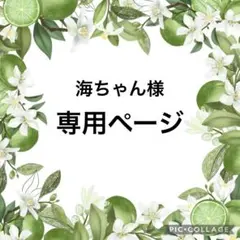 海ちゃん様専用ページ