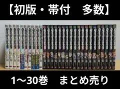 ダンまち外伝 ソードオラトリア 32巻セット - メルカリ
