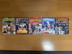 顕正新聞 平成18年 - メルカリ