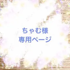 ちゃむ様専用ページ
