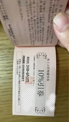 株主優待券(ニトリ10%割引券) 2枚セット