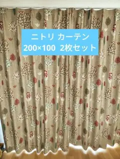 ニトリカーテン 2枚セット 遮光2級 遮熱 消臭 CW2210 100×200のサムネイル