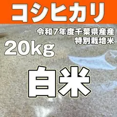 コシヒカリ 白米 20kg 特別栽培米 令和7年度産 千葉県産 - メルカリ
