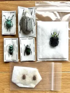 お買い得26061 訳ありセットのサムネイル