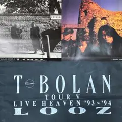 t-bolan ミュージシャン