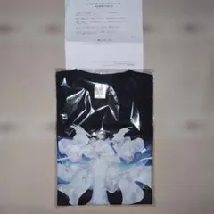 TENBLANK Tシャツ セントマイケルコラボ 佐藤健 テンブランク Mサイズ