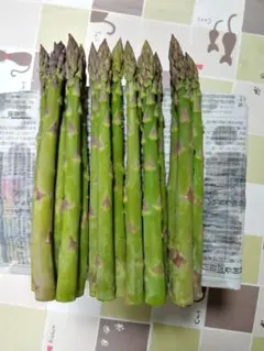 長野県信州産アスパラガス 500ｇ 訳ありのサムネイル
