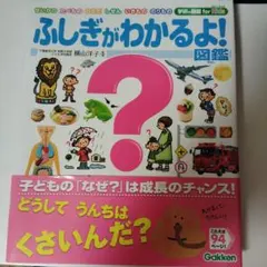 Item thumbnail for item 23060291-9686-44b4-ab8e-fdddfeefa89d