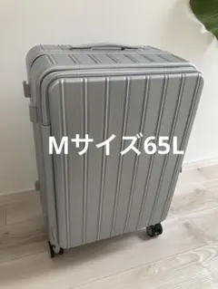 新品未使用☆AIRWAY スーツケース 3Lサイズ 120L-135L 拡張型 - メルカリ