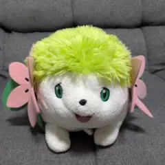 ポケットモンスター ぬいぐるみ シェイミ 2008年 - メルカリ