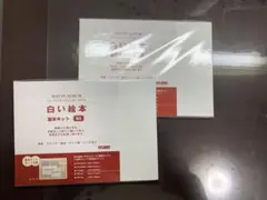 白い絵本 製本キット B5 2冊セット　手作り絵本