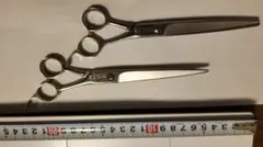 Item thumbnail for item 56bb87f8-104c-4fb8-a1f6-ddd91c285d9c