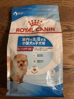 ROYAL CANIN 子猫用ドライフード 2kg - メルカリ