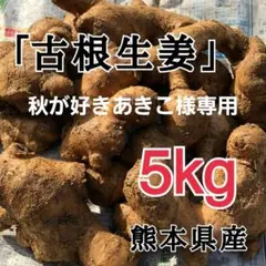 秋が好きあきこ様専用 古根生姜 5kg 農薬肥料栽培期間中不使用 熊本県産