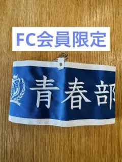 新品未開封】新しい学校のリーダーズ 青春の光 - メルカリ