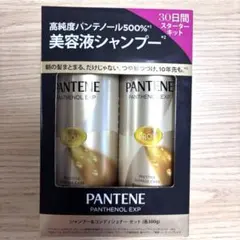 PANTENE パンテーン シャンプー＆コンディショナーセット 300gのサムネイル