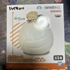 ハイキュー!! 月島蛍 ボールライト 約15cm