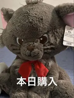 ベルリオーズ コストコ おしゃれキャット　 ブランケットあり