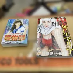 Item thumbnail for item 8128d023-e036-497a-a810-17aa113f387e