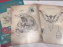 ファンタビ スウーピングイーヴル ニフラー ポストカード