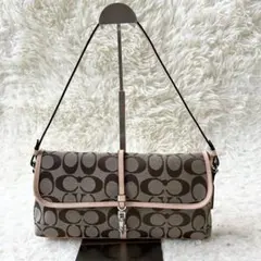 コーチ アクセサリーポーチ 6348 ワンショルダー クリップデミポーチ y2k