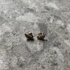 スワロフスキー白鳥デザイン ストーン付きピアス