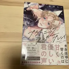 プラトニックシュガープレイ