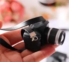 Item thumbnail for item 41df1948-2aa6-41eb-bb1e-e3a4c4cf99b4