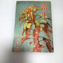 Item thumbnail for item 9f4bbb82-f521-4819-bcfe-b811d462869f